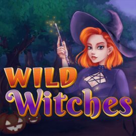Wild Witches Amatic Industries – Slot Demo & Review