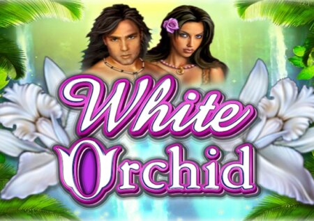 White Orchid – Slot Demo & Review