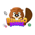 Bingo Bonga Casino | Review Of Casino and Games